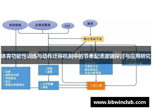 体育功能性训练与动作迁移机制中的节奏配速逻辑探讨与应用研究